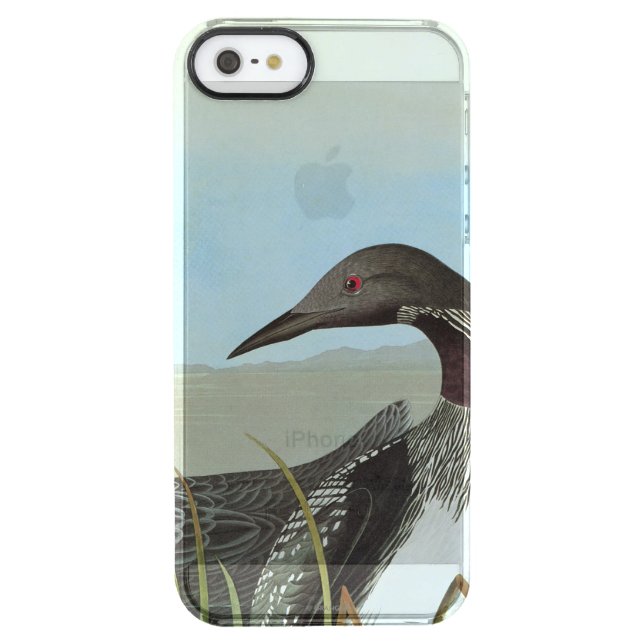 Audubon: Arctic Loon Uncommon iPhone Case (Back)