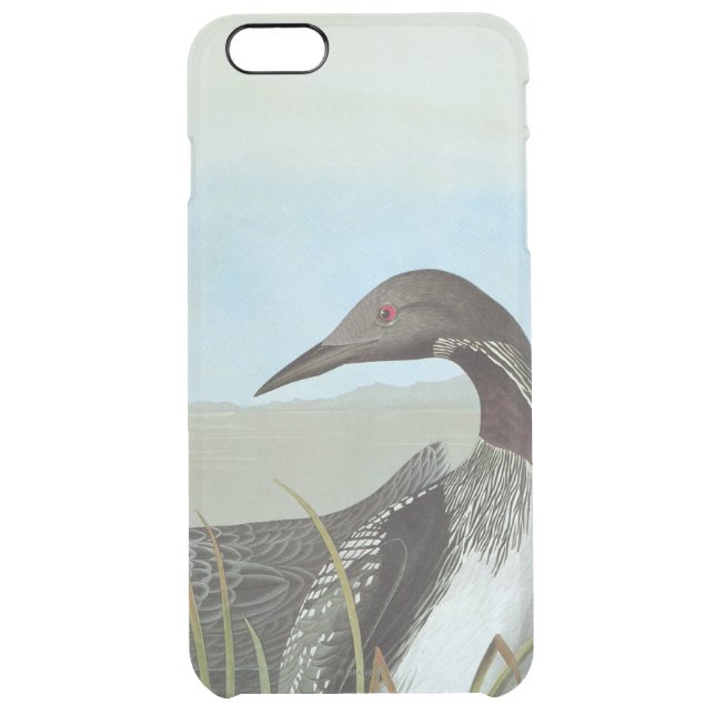 Audubon: Arctic Loon Uncommon iPhone Case (Back)