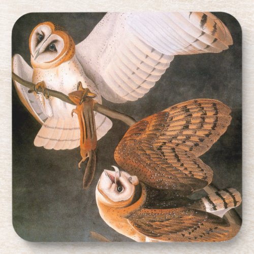 Audubon Barn Owl Coaster