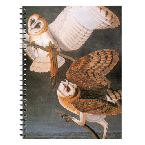 Audubon Barn Owl Notebook