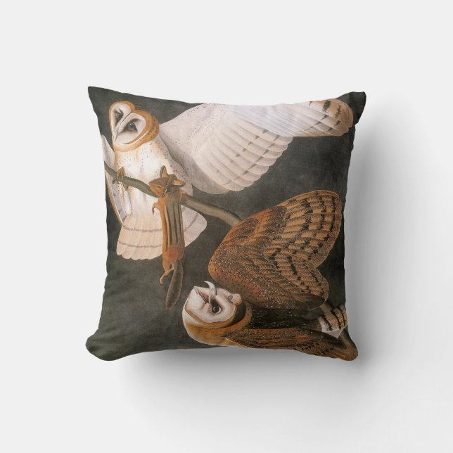 Audubon: Barn Owl Throw Pillow (Front)