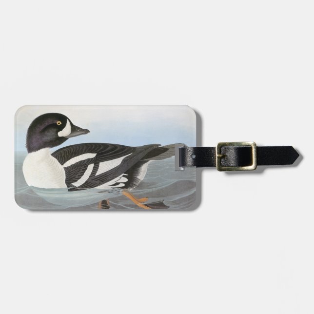 Audubon: Barrow's Goldeneye Luggage Tag (Front Horizontal)