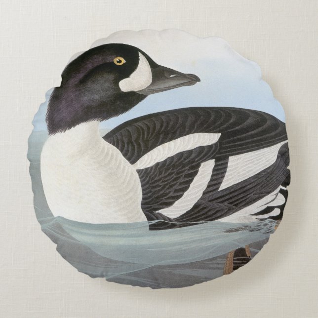 Audubon: Barrow's Goldeneye Round Pillow (Front)
