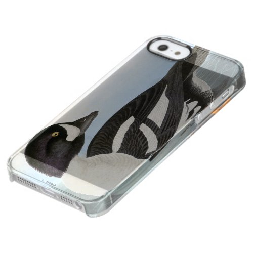 Audubon Barrows Goldeneye Clear iPhone SE55s Case