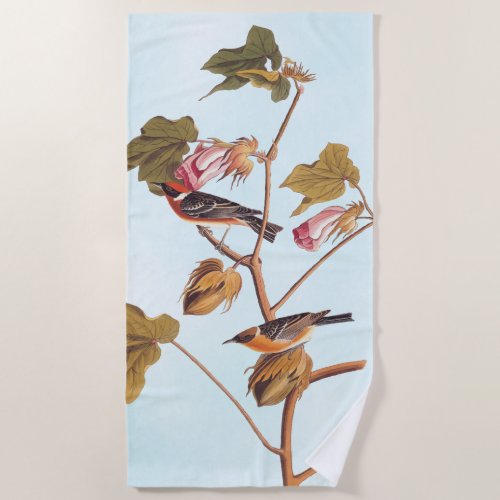 Audubon Bay_Breasted Warbler Bird on Cotton Plant Beach Towel