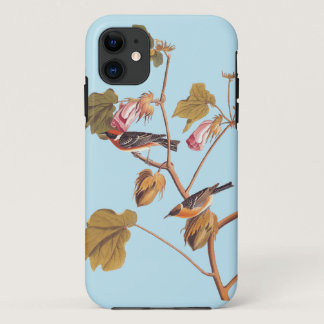 Audubon Bay-Breasted Warbler Bird on Cotton Plant iPhone 11 Case