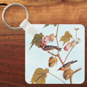 Audubon Bay-Breasted Warbler Bird on Cotton Plant Keychain