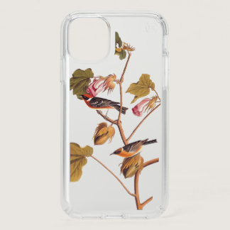 Audubon Bay-Breasted Warbler Bird on Cotton Plant Speck iPhone 11 Case