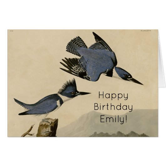 Audubon Belted Kingfisher Wildlife Bird (Front Horizontal)