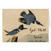 Audubon Belted Kingfisher Wildlife Bird (Front Horizontal)