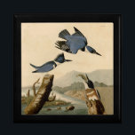 Audubon Belted Kingfisher Wildlife Bird Gift Box<br><div class="desc">Kingfisher - This classic image is based on the John James Audubon illustration of a belted kingfisher bird,  from the Audubon Birds of America published in the early 1800s.</div>