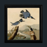 Audubon Belted Kingfisher Wildlife Bird Gift Box<br><div class="desc">Kingfisher - This classic image is based on the John James Audubon illustration of a belted kingfisher bird,  from the Audubon Birds of America published in the early 1800s.</div>