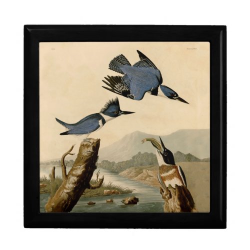 Audubon Belted Kingfisher Wildlife Bird Gift Box