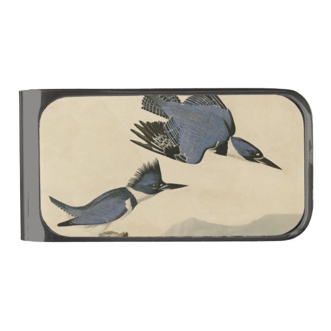 Audubon Belted Kingfisher Wildlife Bird Gunmetal Finish Money Clip (Front)