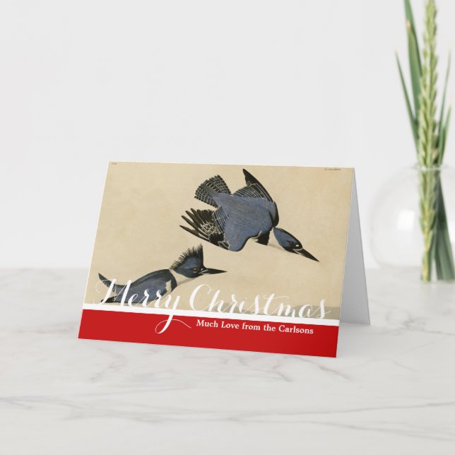 Audubon Belted Kingfisher Wildlife Bird Holiday Card (Front)
