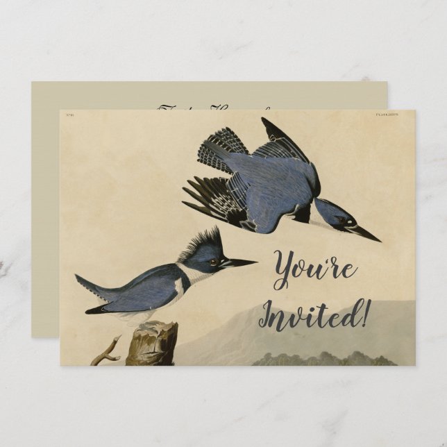 Audubon Belted Kingfisher Wildlife Bird Invitation (Front/Back)