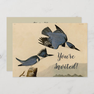 Audubon Belted Kingfisher Wildlife Bird Invitation