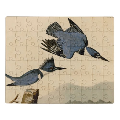 Audubon Belted Kingfisher Wildlife Bird Jigsaw Puzzle