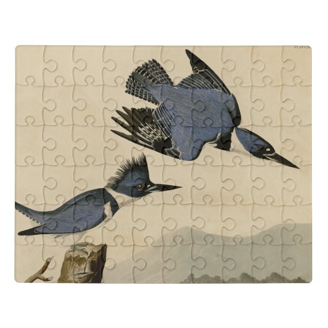 Audubon Belted Kingfisher Wildlife Bird Jigsaw Puzzle (Puzzle Horizontal)