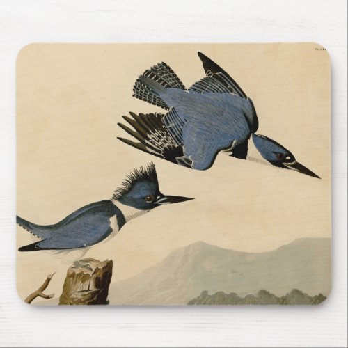 Audubon Belted Kingfisher Wildlife Bird Mouse Pad