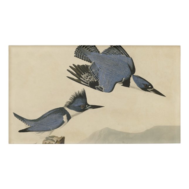 Audubon Belted Kingfisher Wildlife Bird Name Tag (Front)