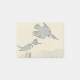 Audubon Belted Kingfisher Wildlife Bird Post-it Notes