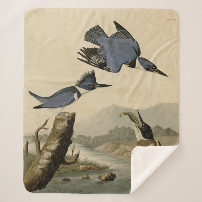 Audubon Belted Kingfisher Wildlife Bird Sherpa Blanket (Front)