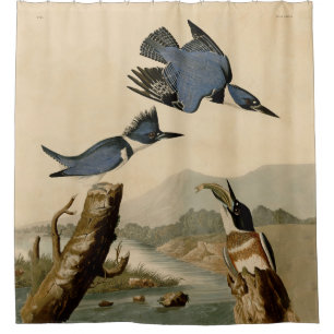 Audubon Belted Kingfisher Wildlife Bird Shower Curtain