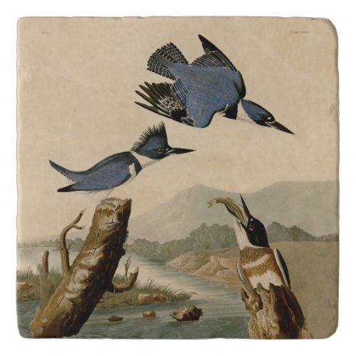 Audubon Belted Kingfisher Wildlife Bird Trivet