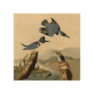 Audubon Belted Kingfisher Wildlife Bird Wood Wall Art