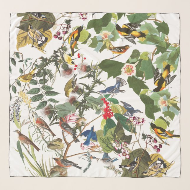 Audubon Bird Collage Wildlife Animal Chiffon Scarf (Front (Horizontal))