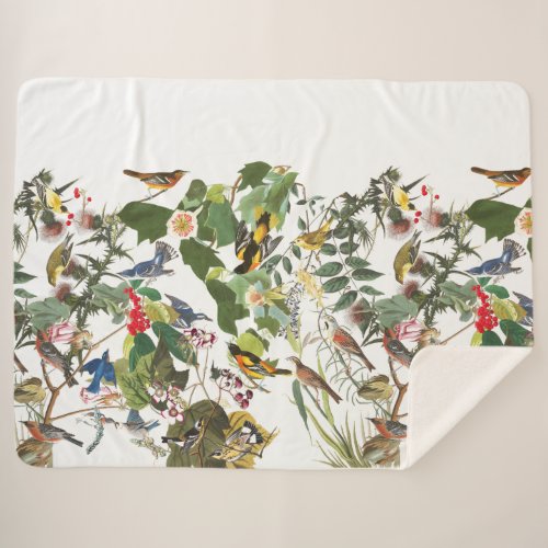 Audubon Bird Collage Wildlife Sherpa Blanket