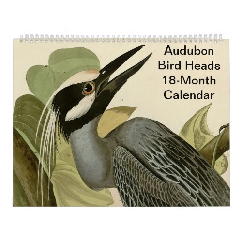 Audubon Bird Heads 18 Month Calendar