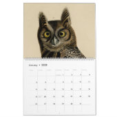 Audubon Bird Heads Calendar  Zazzle