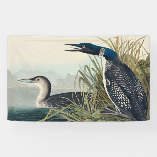 Audubon Bird Loon Diver Classic Banner