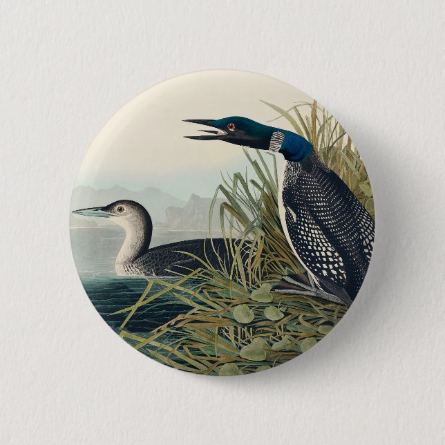 Audubon Bird Loon Diver Classic Button (Front)