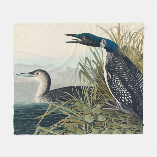 Audubon Bird Loon Diver Classic Fleece Blanket (Front (Horizontal))