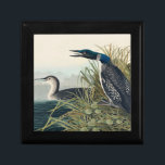 Audubon Bird Loon Diver Classic Gift Box<br><div class="desc">John James Audubon classified this loon as the Great Northern Diver or Loon from Birds of America (1827) by John James Audubon.</div>