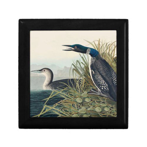 Audubon Bird Loon Diver Classic Gift Box