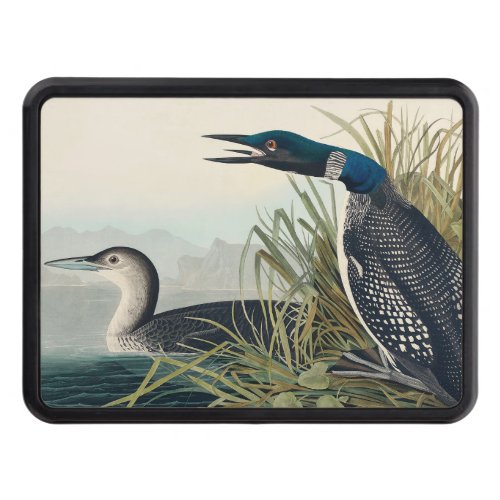 Audubon Bird Loon Diver Classic Hitch Cover