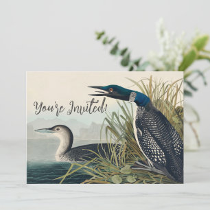 Audubon Bird Loon Diver Classic Invitation
