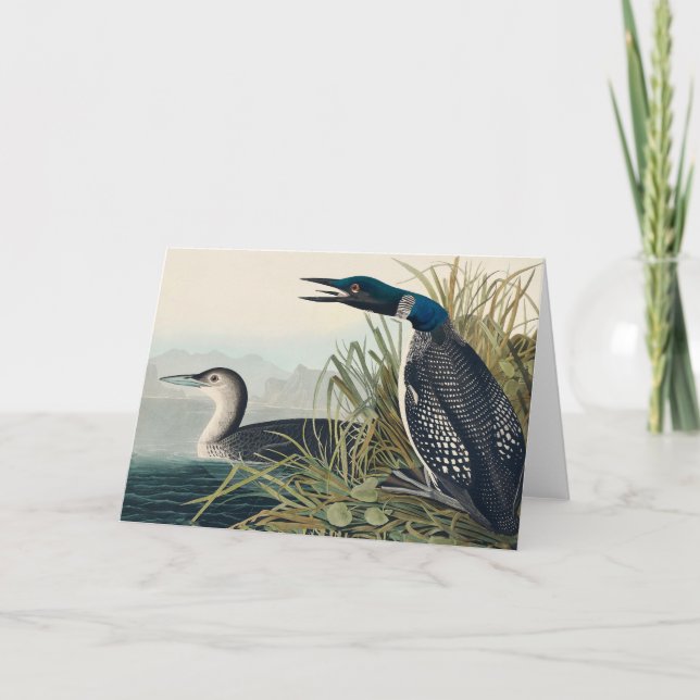 Audubon Bird Loon Diver Classic Letterpress Thank You Card (Front)