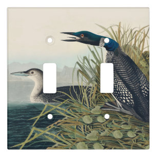 Audubon Bird Loon Diver Classic Light Switch Cover