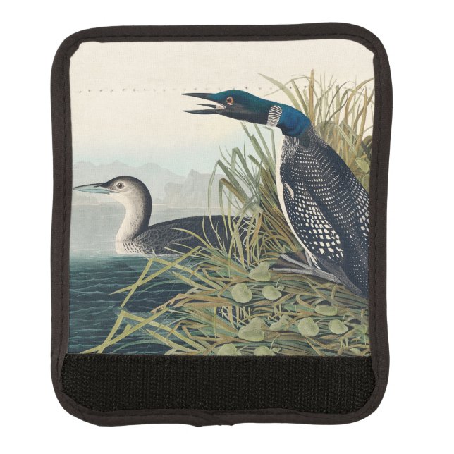 Audubon Bird Loon Diver Classic Luggage Handle Wrap (Front)
