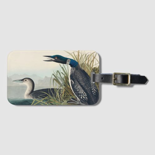 Audubon Bird Loon Diver Classic Luggage Tag