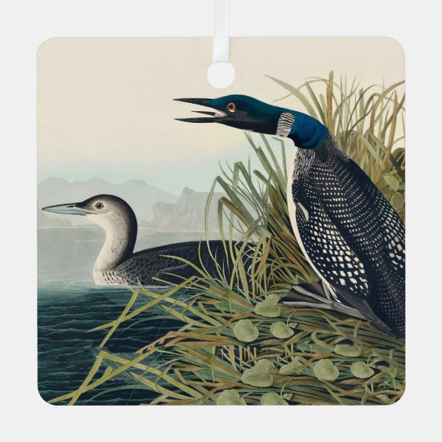 Audubon Bird Loon Diver Classic Metal Ornament (Front)