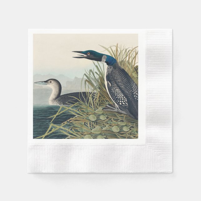 Audubon Bird Loon Diver Classic Napkins (Front)