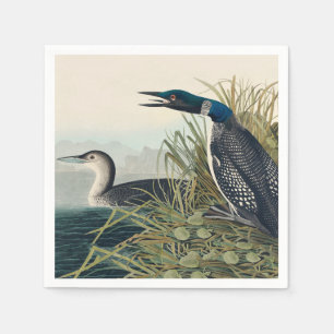 Audubon Bird Loon Diver Classic Napkins
