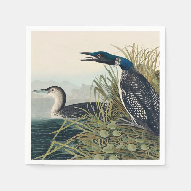 Audubon Bird Loon Diver Classic Napkins (Front)