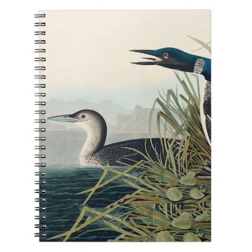 Audubon Bird Loon Diver Classic Notebook